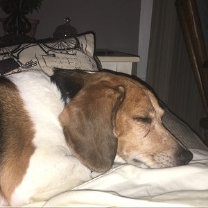 Meet your Posher, Logan